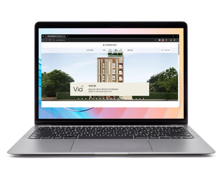 Website Localization Case Study 1