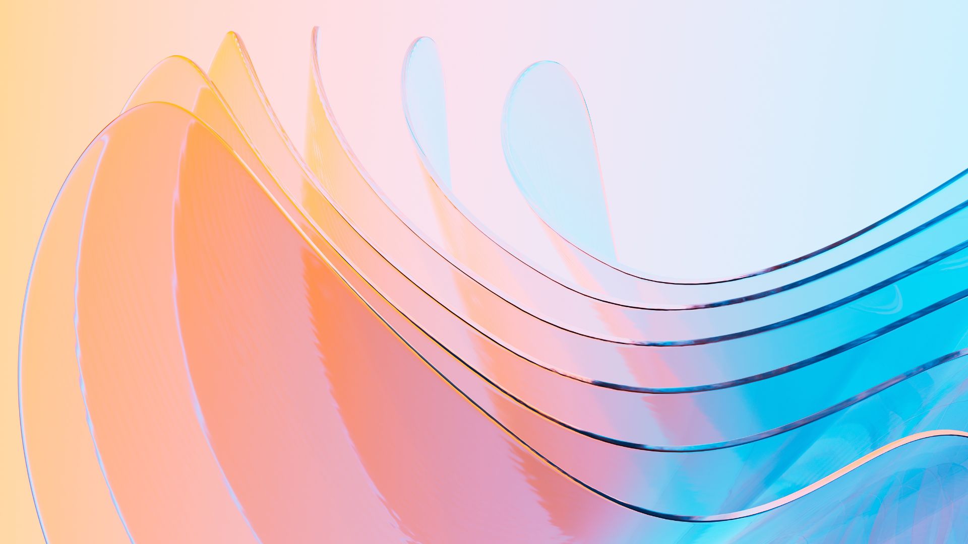 Website Consulting